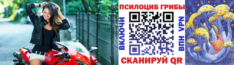 Псилоцибиновые грибы прущие грибы  KRAKEN ссылки  Котельники 